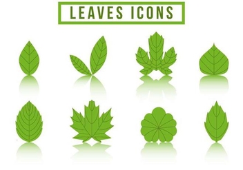 Free Collection Hojas Logo Vector - бесплатный vector #376287